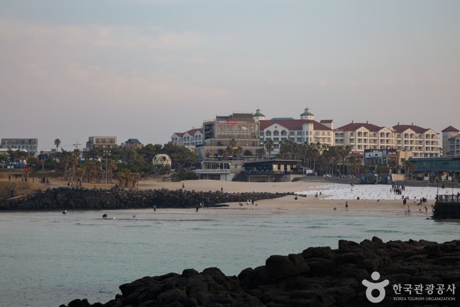 함덕해수욕장 (함덕 서우봉 해변) 1