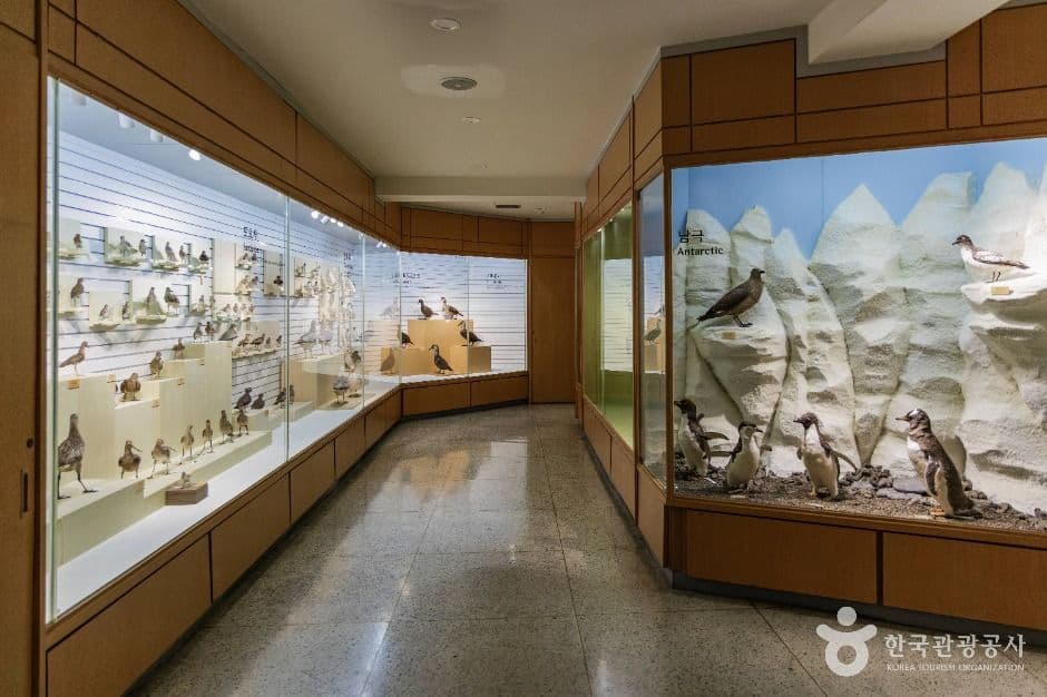 경희대학교 자연사박물관 1
