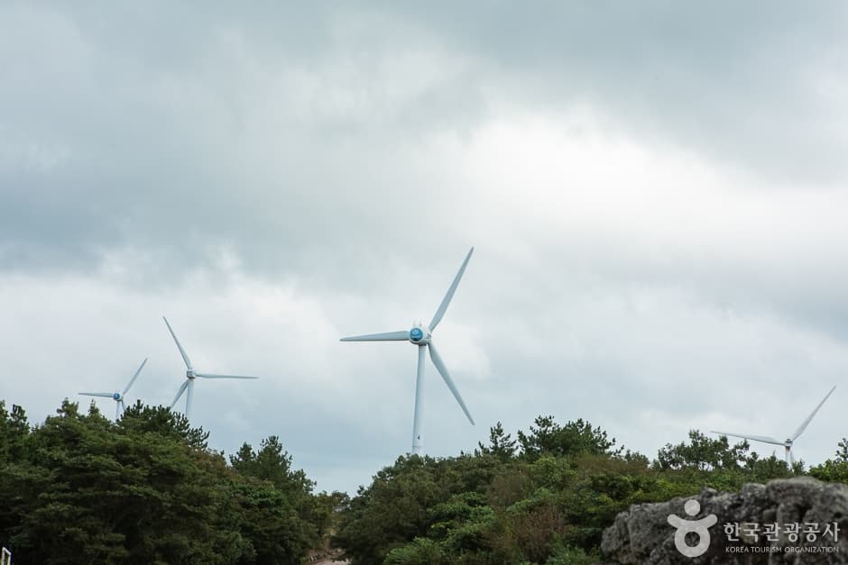 가시리국산화풍력발전단지 9