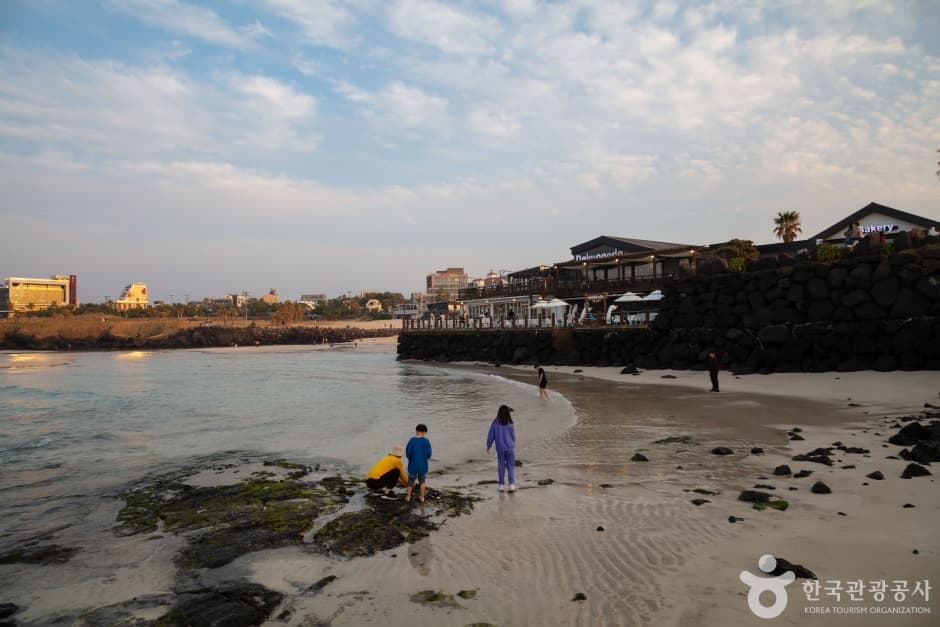 함덕해수욕장 (함덕 서우봉 해변) 4