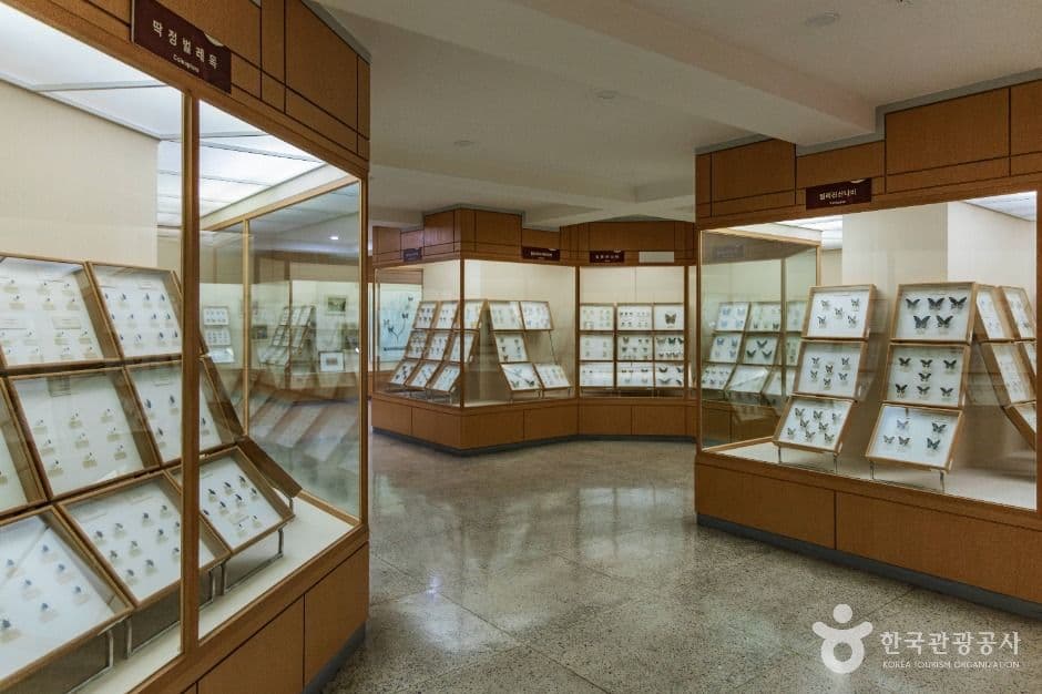 경희대학교 자연사박물관 3