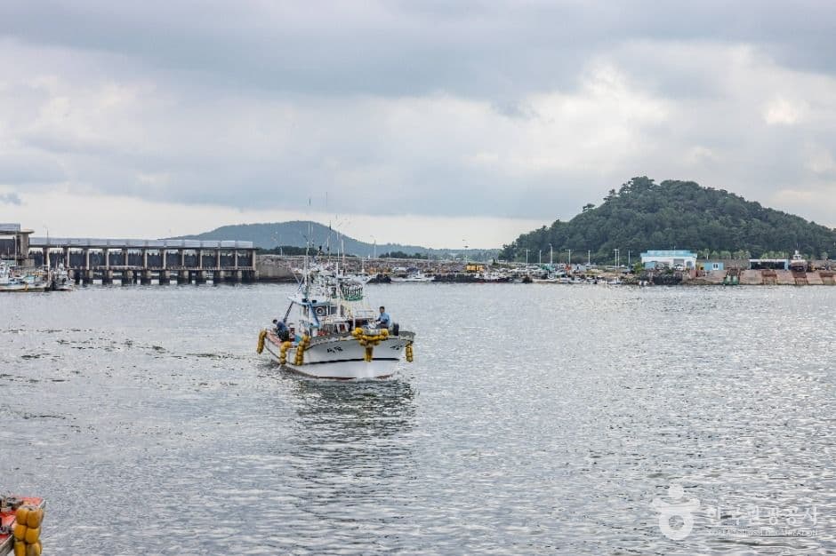 제주 성산항 5