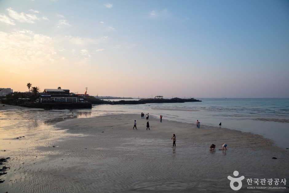 함덕해수욕장 (함덕 서우봉 해변) 5