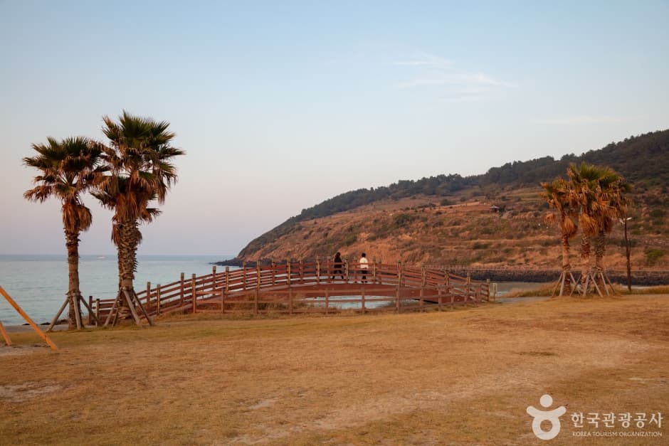 함덕해수욕장 (함덕 서우봉 해변) 8