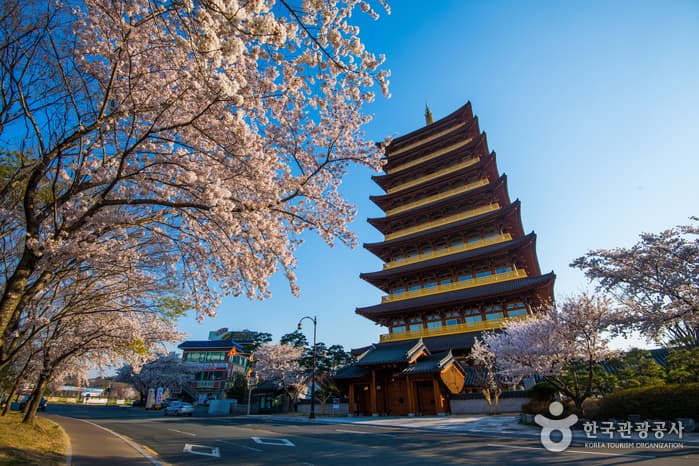 Bomun Tourist Complex (경주 보문관광단지) 3