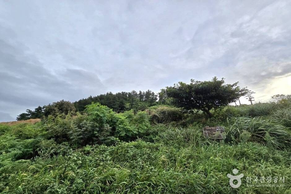 가시오름 2