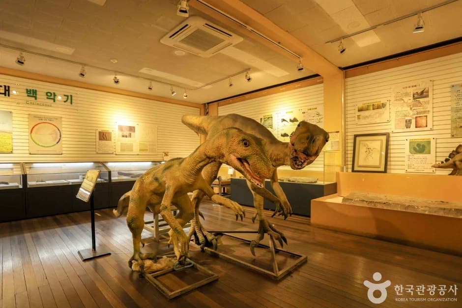 경북대학교자연사박물관 2