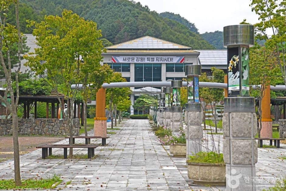 강원특별자치도 자연환경연구공원 1