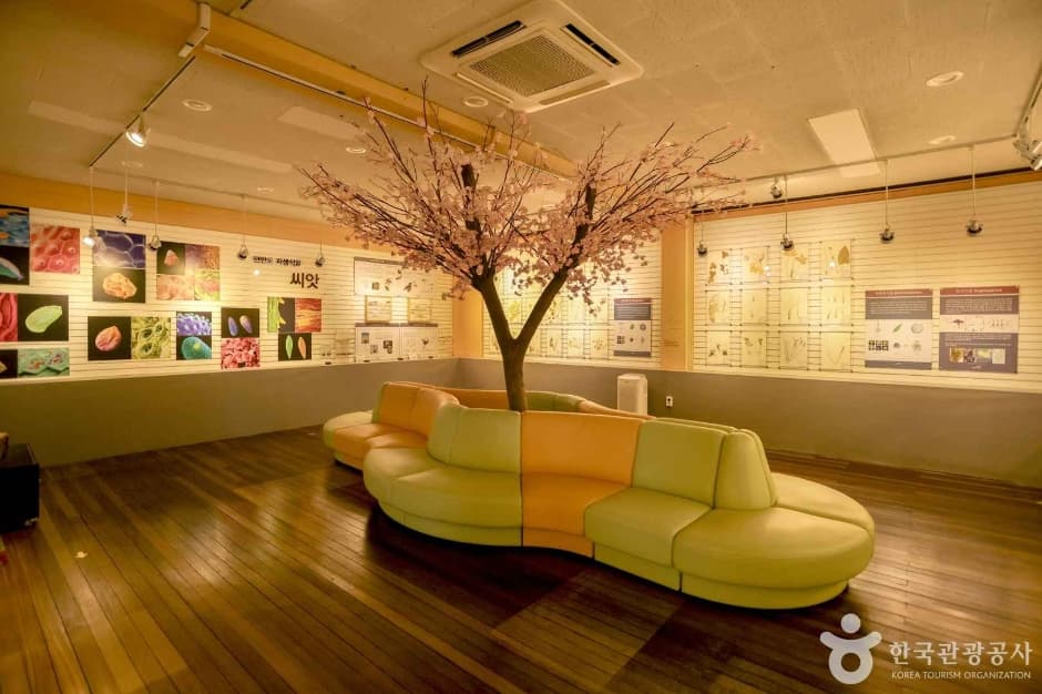 경북대학교자연사박물관 3