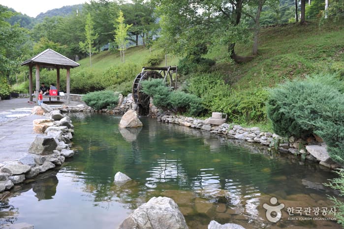 Baegasan Recreational Forest (λ°±μμ°μμ°ν΄μλ¦Ό) 1