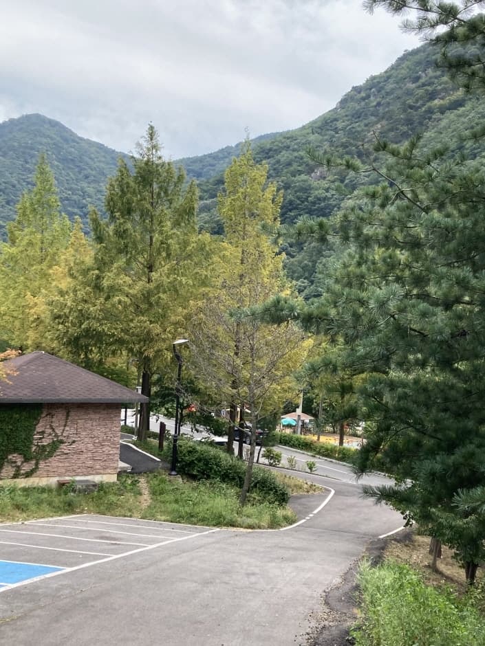 장령산자연휴양림 4