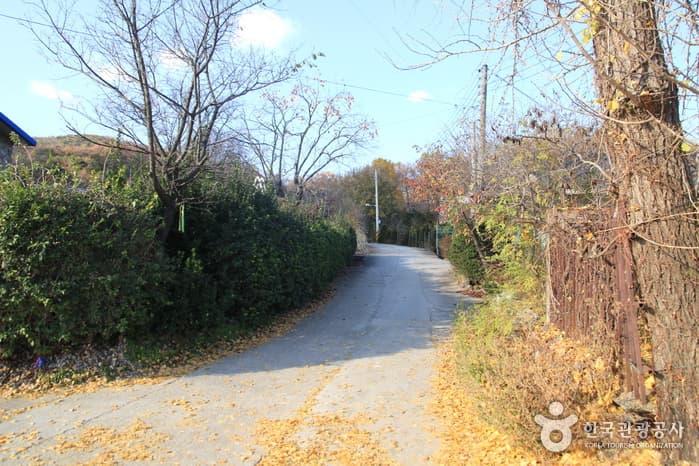 [Ganghwa Nadeul-gil Course 7] Setting Sun Trail ([강화 나들길 제7코스] 낙조보러 가는 길) 2
