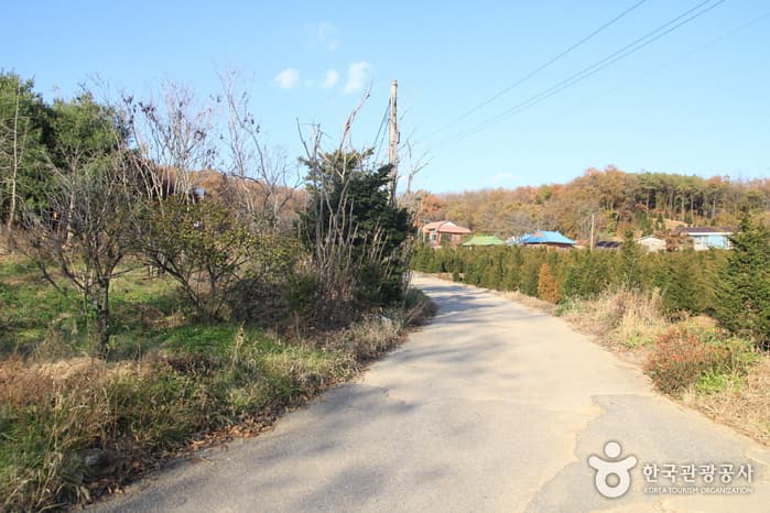 [Ganghwa Nadeul-gil Course 7] Setting Sun Trail ([강화 나들길 제7코스] 낙조보러 가는 길) 1