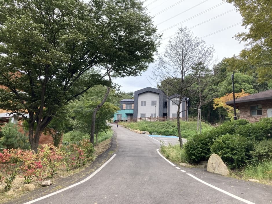 장령산자연휴양림 9