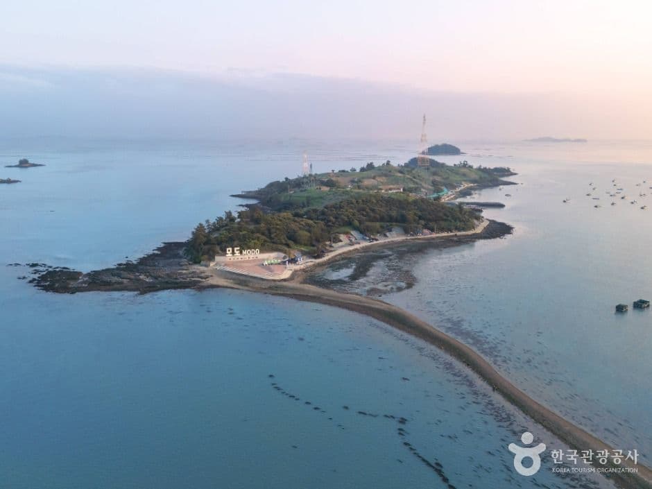모도