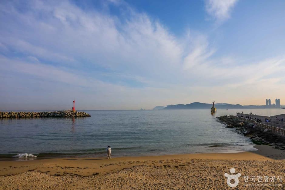 미포항 6