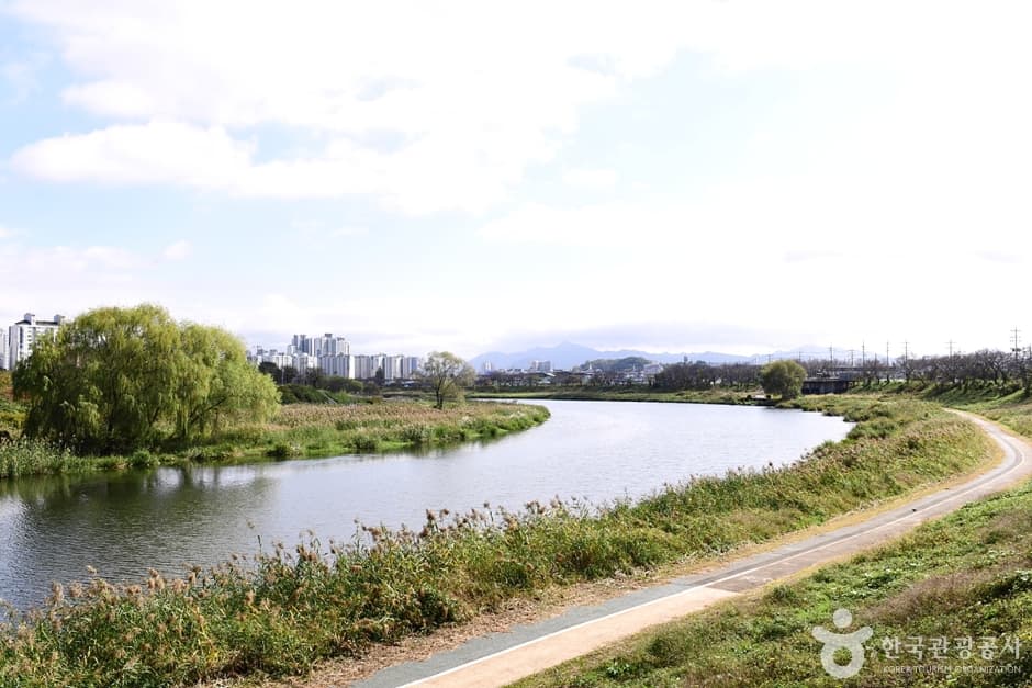 팔복동 천변