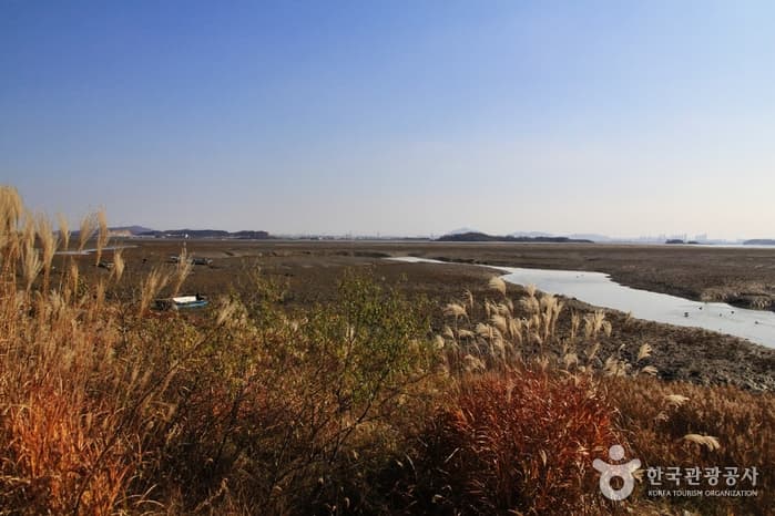 [Ganghwa Nadeul-gil Course 8] Bird Watching Trail ([강화 나들길 제8코스] 철새 보러 가는 길) 3