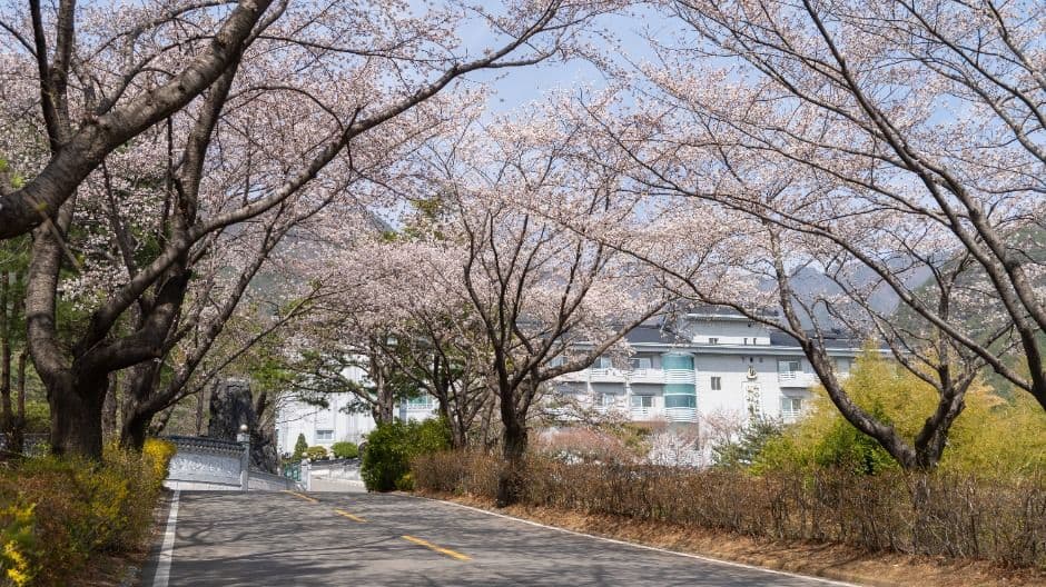 가야호텔 3
