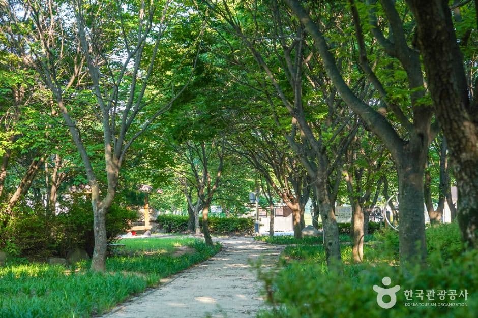미천공원 5