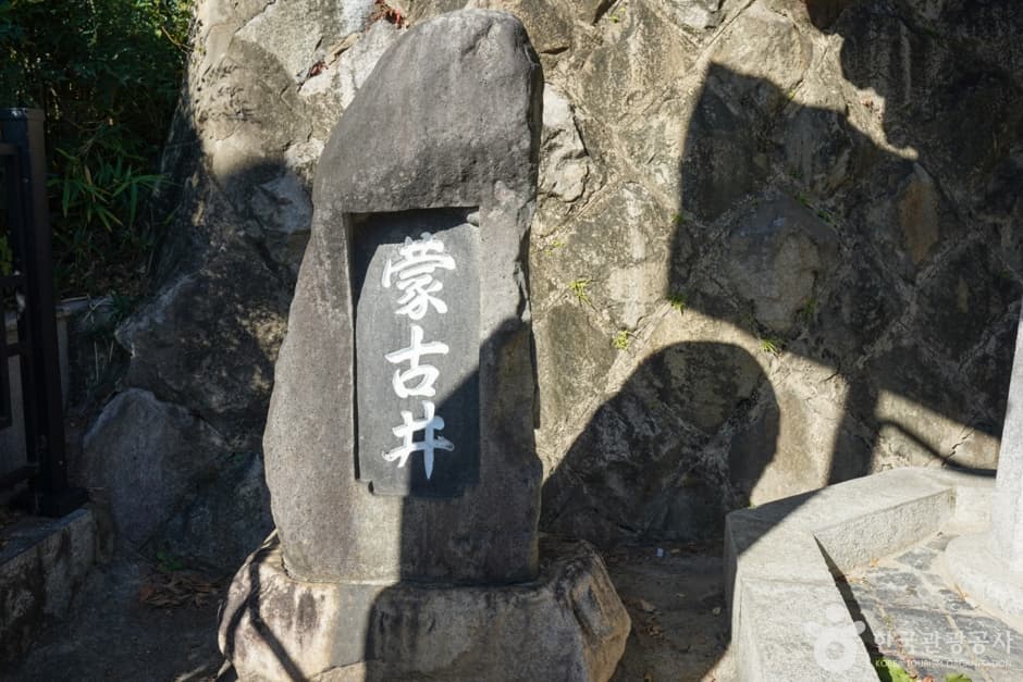 몽고정