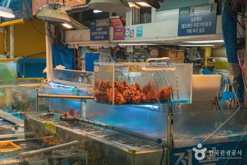가락수산시장 4