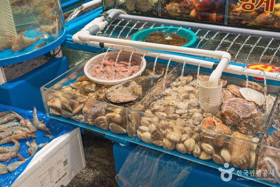 가락수산시장 5