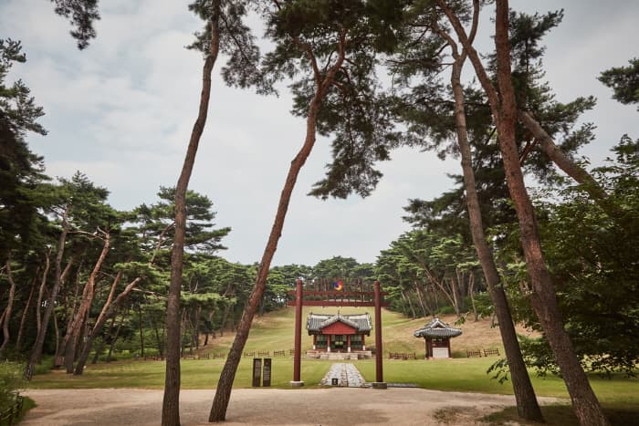 Namyangju Sareung Royal Tomb [UNESCO World Heritage] (남양주 사릉(정순왕후) [유네스코 세계문화유산]) 9
