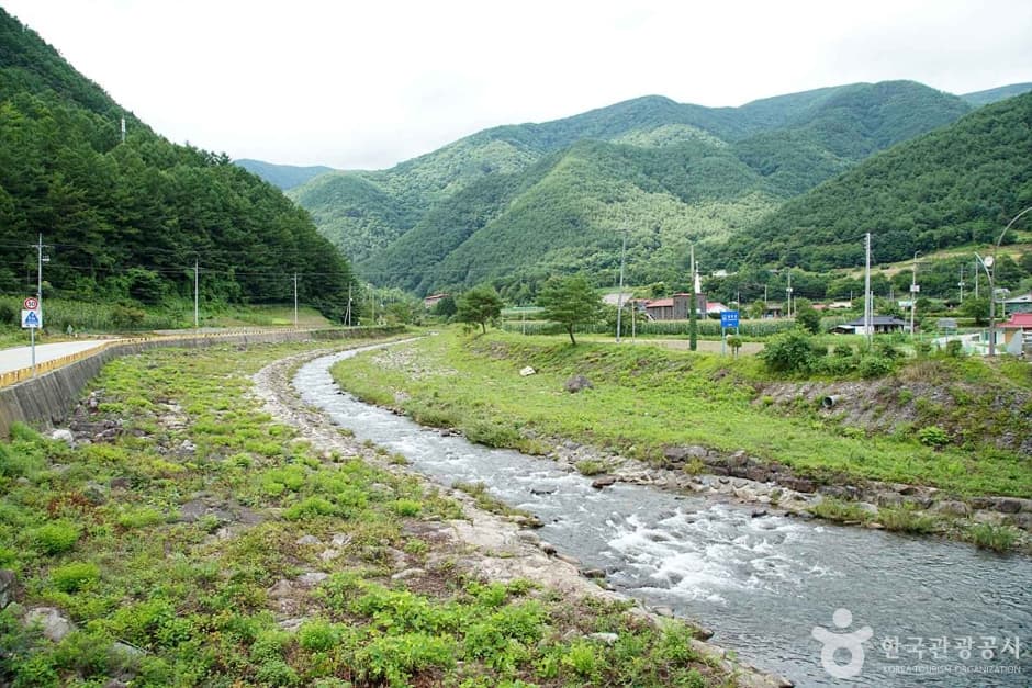 정선 가리왕산마을 1