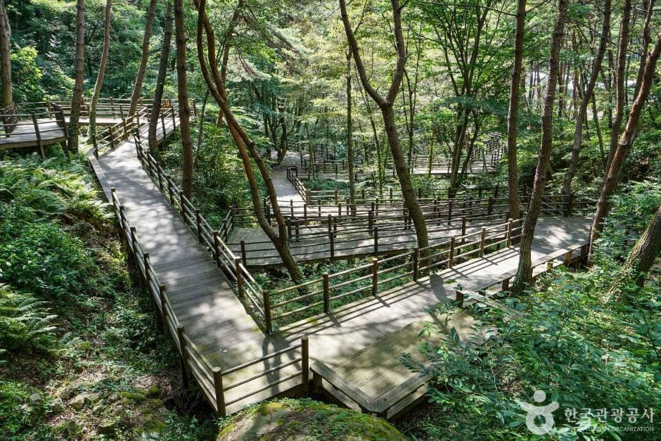 치유의숲 무장애길 2