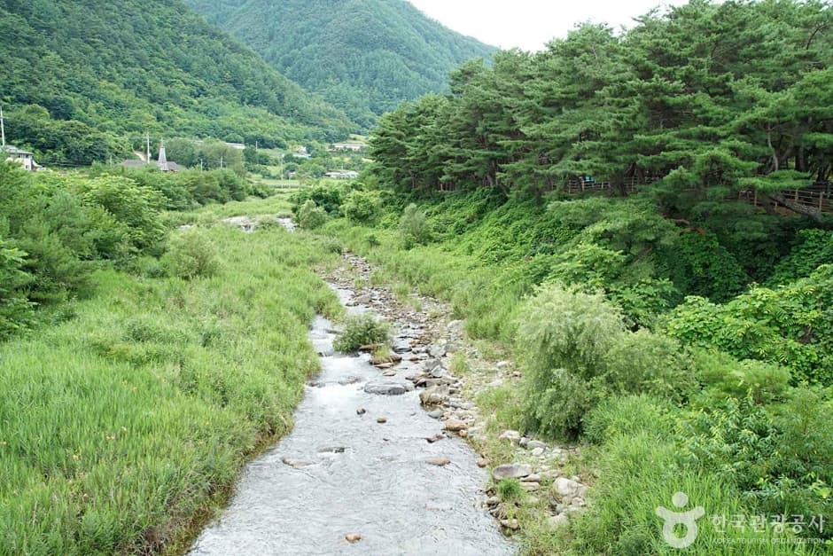 정선 가리왕산마을 2