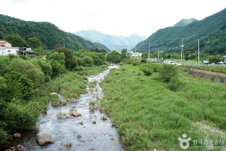 정선 가리왕산마을 3