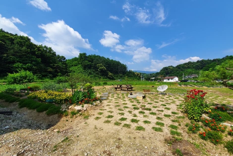 주티스트 8