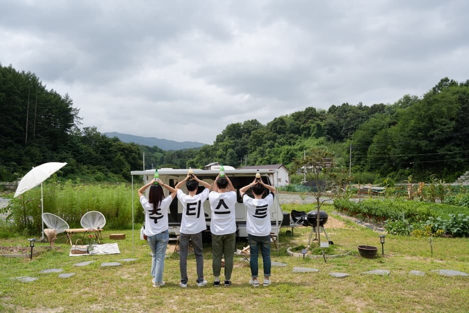 주티스트 9