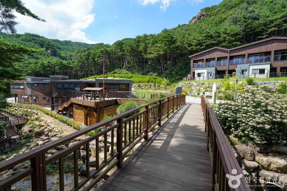 치유의숲 무장애길 6