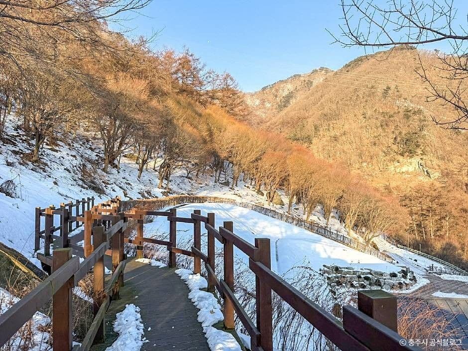 계명산 자연휴양림 5