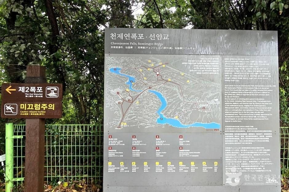 선임교 1
