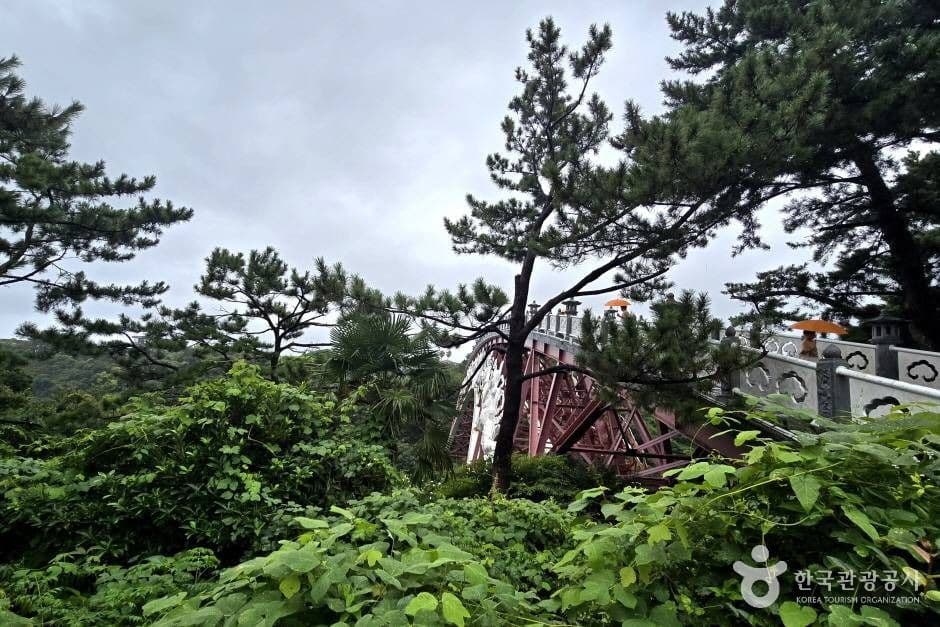 선임교 3