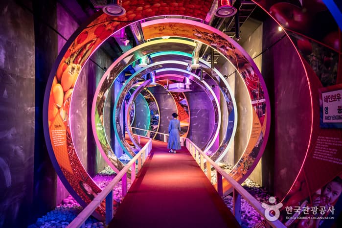 Yeongdong Wine Tunnel (영동 와인터널) 5