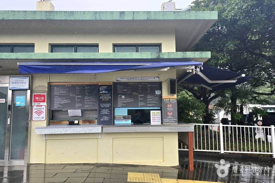 선임교 8