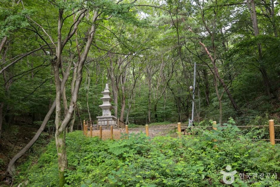 비래사 2