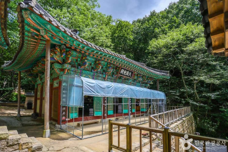 비래사 5