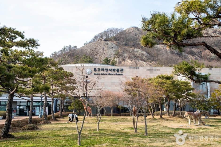 목포자연사박물관 4