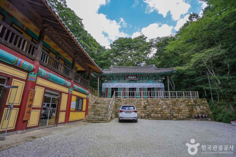 비래사 6