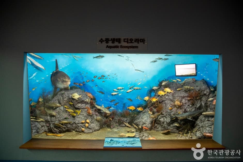 목포자연사박물관 5