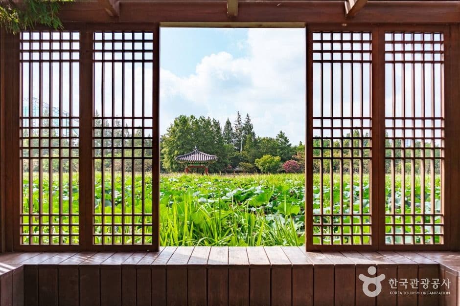 덕진공원 9