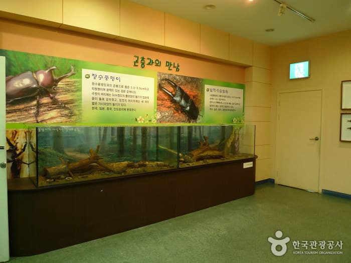 대청호자연생태관 1