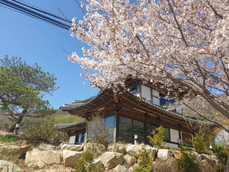 연리지 1