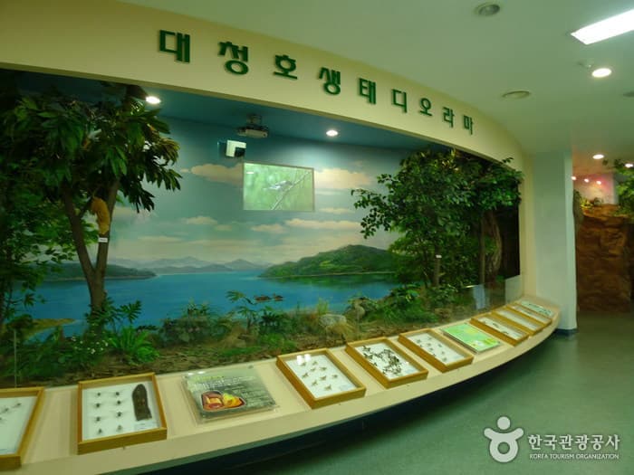 대청호자연생태관 2