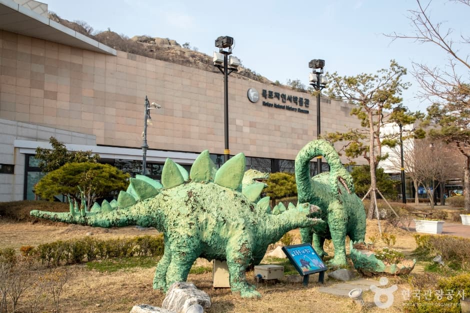 목포자연사박물관 8